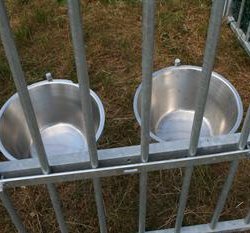 Dobbelt fodersk�l til hund