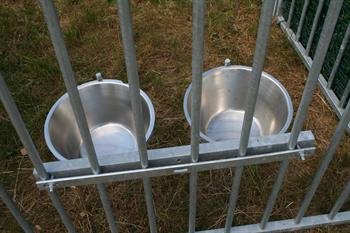 Dobbelt fodersk�l til hund