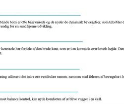 IP09 Drejesk�l