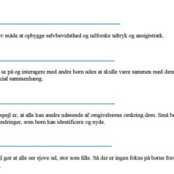 IP303 Reflektions spejl