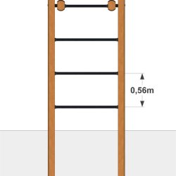 Armgangs ribber i robinia stativ