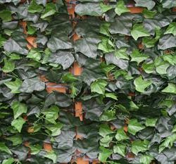 Kunstig H�k i naturtro udgave model Vedbend