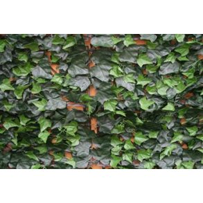 H�k sektioner i str 0,95 x 0,95 m model Vedbend
